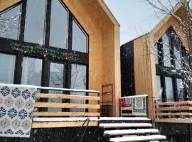 4 Chalet near Borjomi