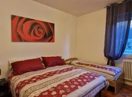 I Sei Petali Apartment
