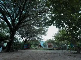Kampify kochi