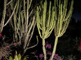 Apartment in Jesús, Hotel in Nuestra Señora de Jesus