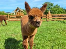 Agroturystyka Folwarczek Pokoje i Apartamenty