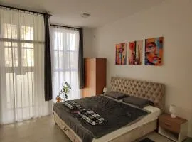 Apartman Opačić 1