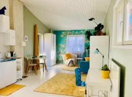 Tower Floor Studio Apartment Tornikorruse stuudiokorter