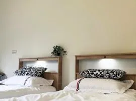 散步的喵