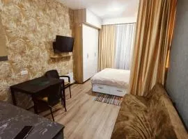 Studio apartment in Bakuriani