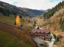 Pensiunea Vânătorul