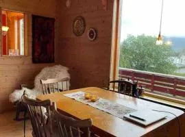 Northern Light Cabin Lofoten