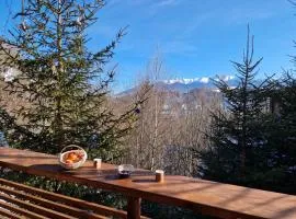 Chalet Glasul Padurii