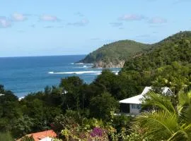 Surfside Studios on the beach in Martinique - North