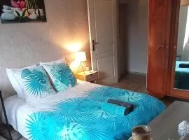 Chambre cozy et calme dans une maison de charme