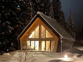 Chalet Belveder Horsk&aacute; chata，澤勒茲納&middot;魯達的木屋