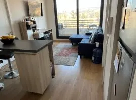 Hermoso departamento en Viña del Mar