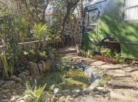 Bus Torino - a dream