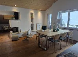 Luxurious Penthouse Apartment