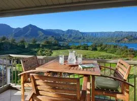 Hanalei Bay Resort 43023