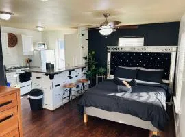 Trendy and modern apartment at rice village