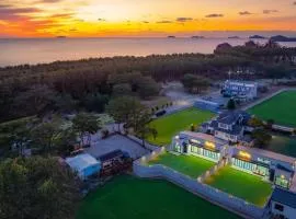 Taean Dog Day Pet Pool Villa