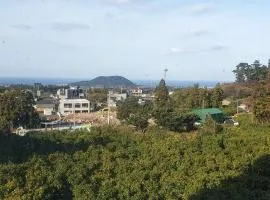 Backrokdam pension