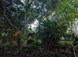 Mango tree view holiday house