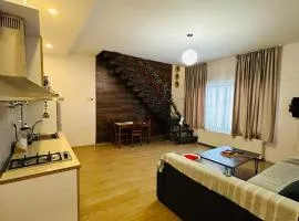 Family cottage bakuriani