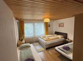 Ferienwohnung Sonnenseite Brienz