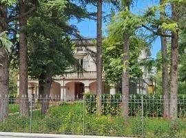 White House B&B