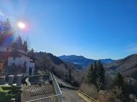La Casa Del Lupo
