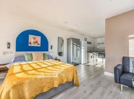 Contemporary Modern Studio