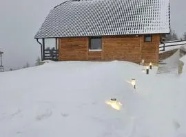 Brvnara “Vidik Breg”