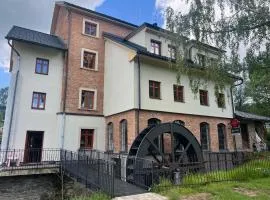 Feltlův mlýn v Borovnici