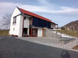 Bandi Weekend House