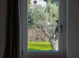 Guest House Montestallone