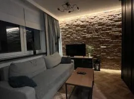 Luksusowy loft nad jeziorem Swarzędz - Poznań TV wi-fi pralko-suszarka piekarnik