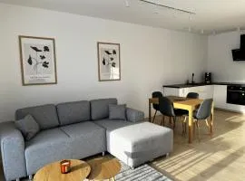 Apartamenty pod sosną
