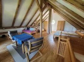 Helles Landhaus auf Waldlichtung
