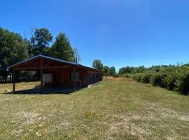 Cabaña en el Campo de Villarrica