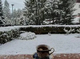 Alpine Oasis - Poiana Brasov Central