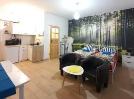 Apartament 1 przy Termach Cieplickich