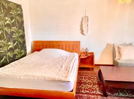 Zurich at the Lake double room in historic house shared Bath, ubytování v soukromí v destinaci Kilchberg