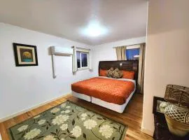 Comfortable Jacksonville house