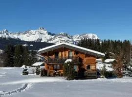 Chalet au pied des pistes