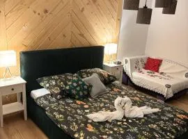 Apartamenty u Ptaszka