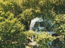 Geodesic Domes with Best Views in Ribeira Sacra