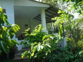 peno coffee house