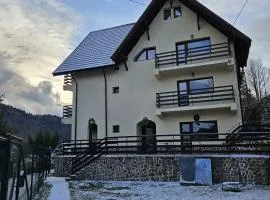 Villa Ski Azuga