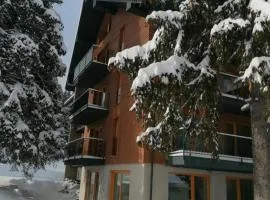 Villa Erdődy Resort - Apartmán U veveričky