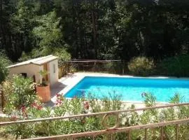 Maison calme sur terrain arboré et piscine privée