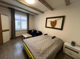 Historical apartments V18