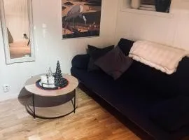 Cozy 1 bedr apartment close to everything!