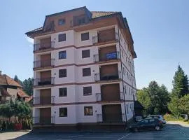 Rosa Lux 25